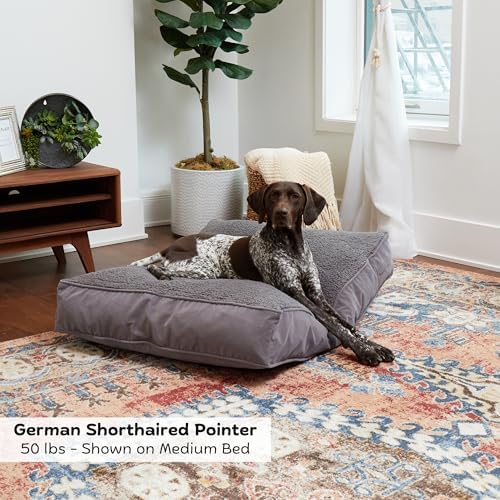 Buster Deluxe Reversible Pillow Style Sherpa Dog Bed, Gray, Medium (42 x 30 in.)
