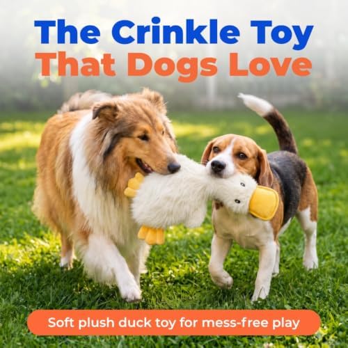 Best Pet Supplies Interactive Squeaky Dog Toy - Crinkle Duck, White