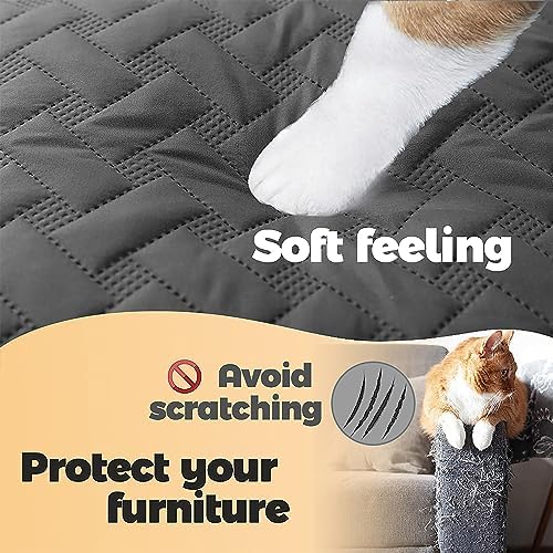 gogobunny 100% Double Sided Waterproof Dog Blanket Soft Pet Bed Cover Reversible Protect Furniture Couch Sofa Car for Puppy Cat Kids (Dark Grey/Light Grey, 40x50 Inch (Pack of 1))
