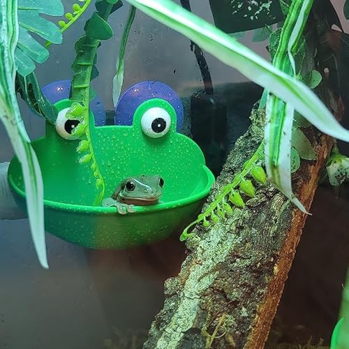 2 Pack Frog Suction Terrarium Hide for Tree Frogs Toads Tadpoles
