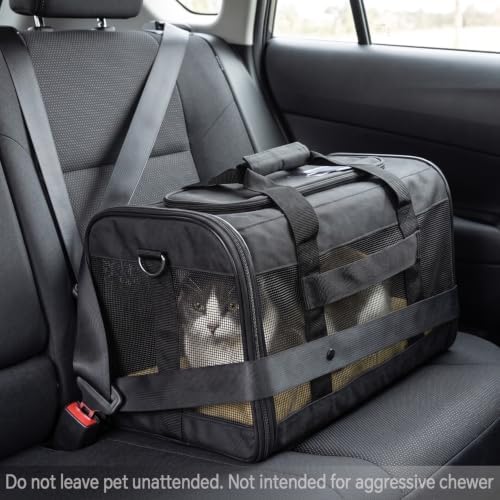 Conlun Cat Carrier Airline Approved, Soft-Sided Dog Carrier with Inner Safety Leash, Pet Transport Carrier for Small-Medium Cats Puppies up to 15 Lbs, Collapsible Travel Kitten Carrier Bag -Purple M