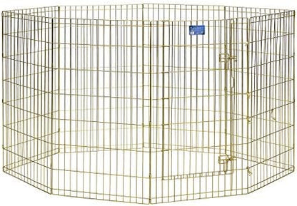 MidWest 42-Inch Exercise Pen, Single Door, 16 Sq Ft Play Area