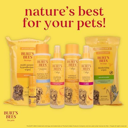 Burt's Bees for Pets Itch Soothing Shampoo with Honeysuckle, 2pk, 95% Natural Origin Formulas, Dog Shampoo for Itchy Dogs, Dog Shampoo Itchy Skin Relief, 2pk Bottles, 32 oz