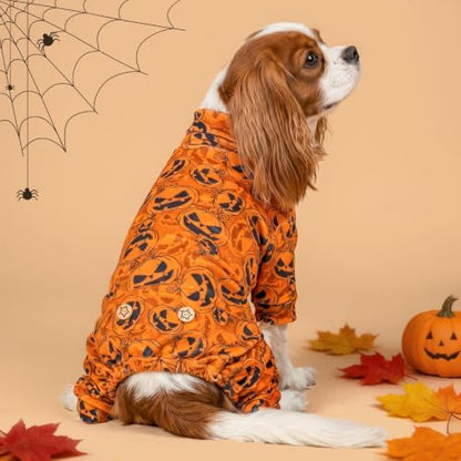 KYEESE Halloween Dog Pajamas for Small Medium Dog Onesie, Jack-o'-Lantern