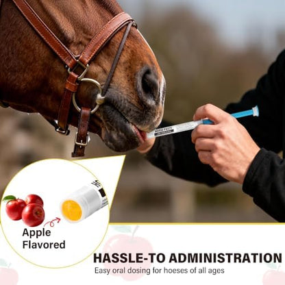 12 Pack Equine Paste 1.87% (6.08g Each)– Apple Flavored Oral for Horse