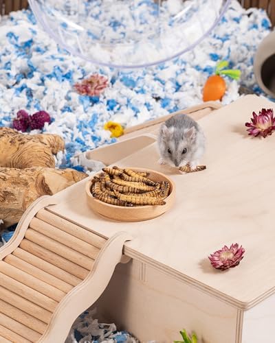 Niteangel Small Animal Snack & Treats - Freeze-Dried Worms & No Additive