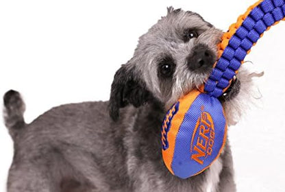 Nerf Dog Vortex Chain Tug Dog Toy with Squeaker Football Head, Lightweight, Durable, Water Resistant, 30 Inches, For Medium to Extra-Large Breeds, Single Unit (3474)