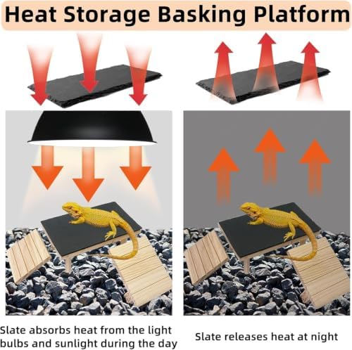 Bearded Dragon Basking Platform with Climbing Ramp,Reptile Basking Rock Slate,Wooden Platform Hide Cave Tank Accessories for Lizard Tortoise Leopard Gecko Snake (XXL)