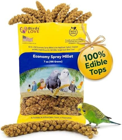 Birds LOVE Economy Spray Millet for Birds, 7 oz, GMO-Free Natural Millet Spray Treat, Stem-Reduced Edible Tops, Grown in USA, for Parakeets, Cockatiels, Lovebirds, Finches, Canaries & Small Parrots