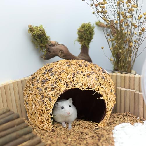 Hamster Hideout - Large, Natural Flowers, Handcrafted for Syrian Hamsters, Rats & Guinea Pigs, Safe & Eco-Friendly (Flower,Large)