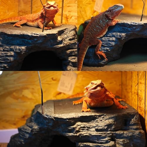 X-Large Bearded Dragon Basking Platform, Lizard, Snake or Reptile Hide with Heat Storage Slate Stone, 13x12x5 Inch Oversized Gecko Hide Cave