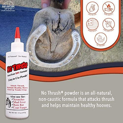 Four Oaks Farm Ventures, No Thrush Dry Powder Treatment for Horses - Wound Care, Scratches, Rain Rot, Mud Fever, Coat Issues - All Natural Ingredients, Non-caustic, Easy to Use Powder Formula (5.5 oz)