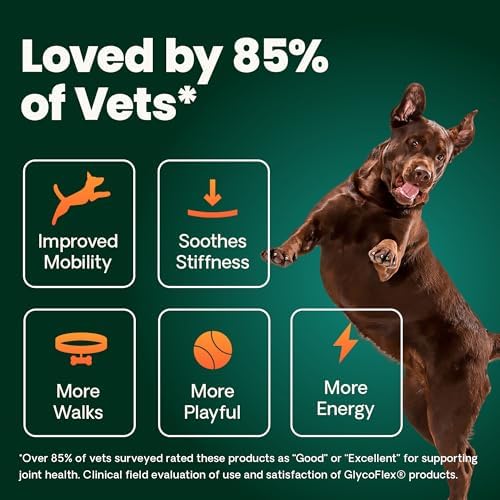 VetriScience Healthy Hip & Joint Chews, GlycoFlex Glucosamine and Green-Lipped Mussel Joint Support Supplement for Dogs, Promote Mobility and Protect Joints, Chicken, 120 Count (Pack of 2)