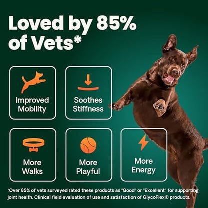 VetriScience Healthy Hip & Joint Chews, GlycoFlex Glucosamine and Green-Lipped Mussel Joint Support Supplement for Dogs, Promote Mobility and Protect Joints, Chicken, 120 Count (Pack of 2)