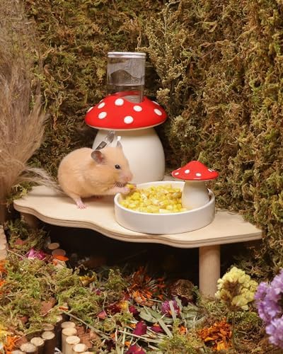 Niteangel Hamster Snack & Treats Toy - Freeze-Dried Corn & No Additive
