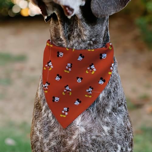 Disney Pet Bandana Slide On Slip Through