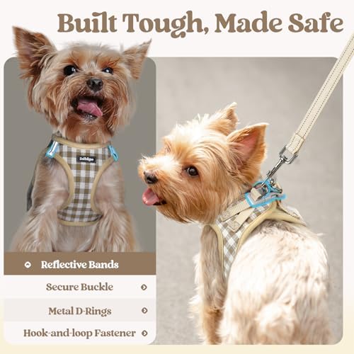rabbitgoo Dog Harness Small Sized and Leash Set, Step-in Puppy Pet Vest