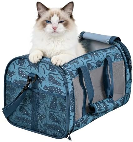 Soft-Sided Kennel Pet Carrier, Airline Approved Travel Handbag