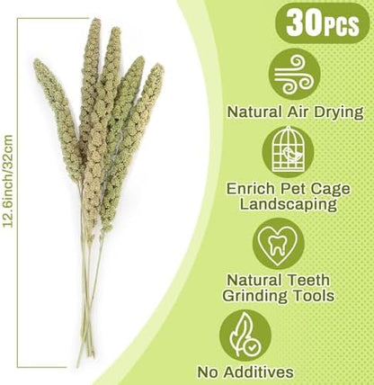 Sukh 30 Pcs Natural Millet Spray - 12.6in Hamster Cage Accessories Decor