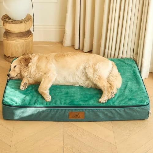 LIORCE Orthopedic Memory Foam XXL Dog Bed - 6" Thick Beds for Extra Large Sized Dog - Waterproof Removable Washable Cover & Wrap-Around Zipper - Ultimate Comfort & Easy Maintenance, Green