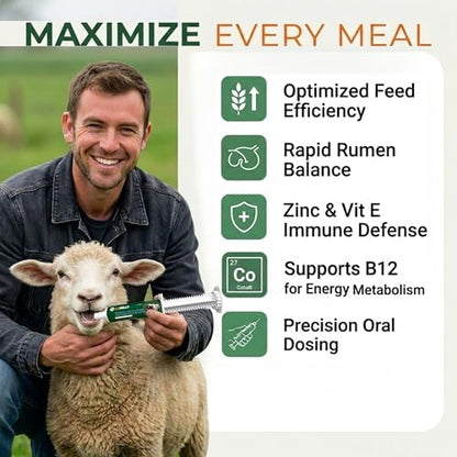 Ruminant Probiotic Paste for Cattle & Goats | Prebiotic + Probiotic | 6 Strains, 12B CFU | Digestive, Rumen & Immune Support - Pack of 2-80G Each