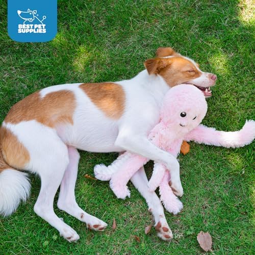 Best Pet Supplies Interactive Squeaky Dog Chew Toy, Ideal Dog Toys for Chewers, Small, Medium & Large Dogs, and Fetch Lovers - Octomutant (Pink), Large