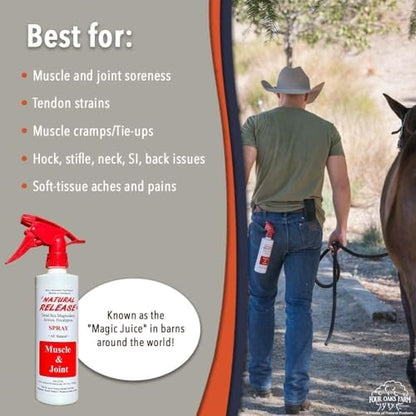 Four Oaks Farm Ventures, Natural Release Muscle Spray Treatment - Horse Liniment for Sore Muscles, Joint Pain, Tendon & Inflammation Relief - Easy to Use, Fast Acting, Alcohol & Menthol Free (16 oz)