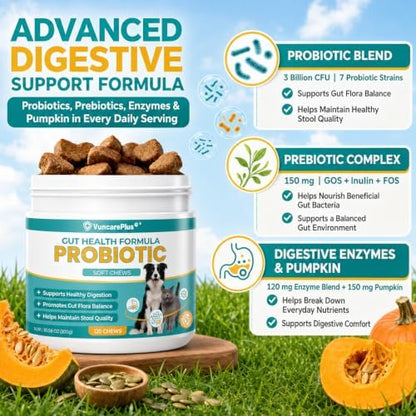 Probiotics for Dogs & Cats, 3 Billion CFU, 120 Soft Chews