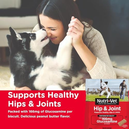 Nutri-Vet Hip & Joint Dog Biscuits, 166mg Glucosamine, 16oz (Pack of 2)