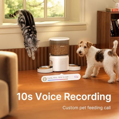Automatic Cat Feeder for 2 Cats, Dual Cat Feeder with 5G WiFi APP