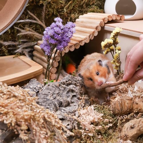 Niteangel Hamster Snack & Treats Toy: Dried Dandelion Roots No Additive