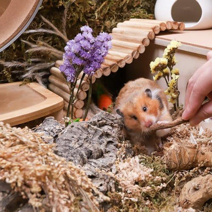 Niteangel Hamster Snack & Treats Toy: Dried Dandelion Roots No Additive