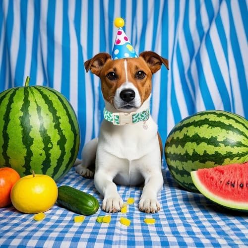 Lionet Paws Summer Dog Collar- Cute Cucumbers Dog Collars with Plastic Buckle,Blue Stripe Light Adjustable Dog Collars for Medium Large Dogs