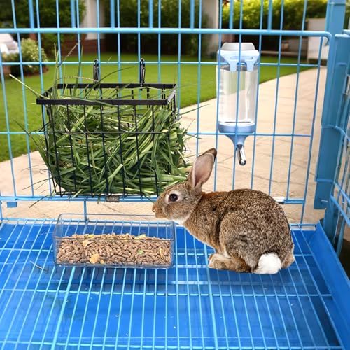 SANGLE SOPFFY Rabbit hay Feeder Small Animal Feeding Set with 350ml Water Bottle, Hay Rack for Guinea Pigs, Chinchillas