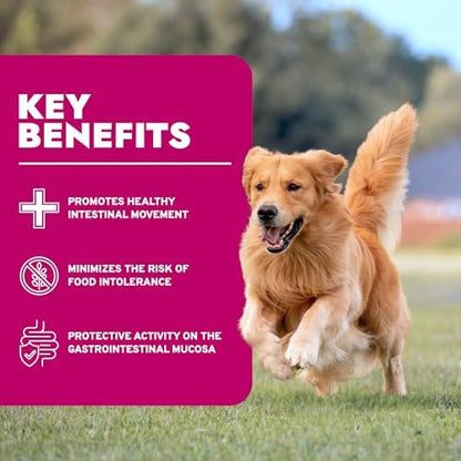 Forza10 - Intestinal Dry Dog Food for Sensitive Stomachs, 8.8 lb