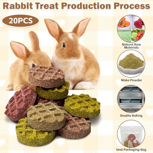 PINVNBY 20PCS Bunny Chew Toys Small Animal Molar Snacks for Teeth Rabbit Treats for Hamster, Chinchilla, Guinea Pig, Squirrels, Gerbils and Small Animals