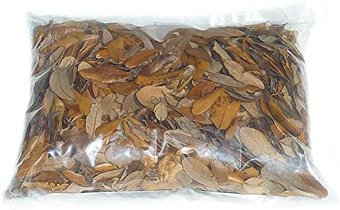 XYZReptiles Premium Live Oak Leaf Litter Isopod Substrate Terrarium Bedding (1 Gallon)