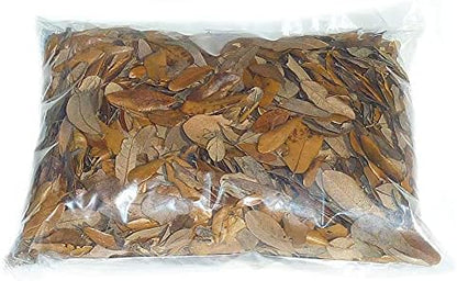 XYZReptiles Premium Live Oak Leaf Litter Isopod Substrate Terrarium Bedding (1 Gallon)