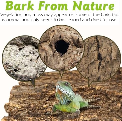 Reptile Cork Bark 1 Lb Flat Cork Wood for Terrarium Small Tree Bark Pieces 3.9-5.9in Natural Bulk Cork Bedding Tank Substrate for Bearded Dragon Snake Spiders Geckos Tortoise Hermit Crabs