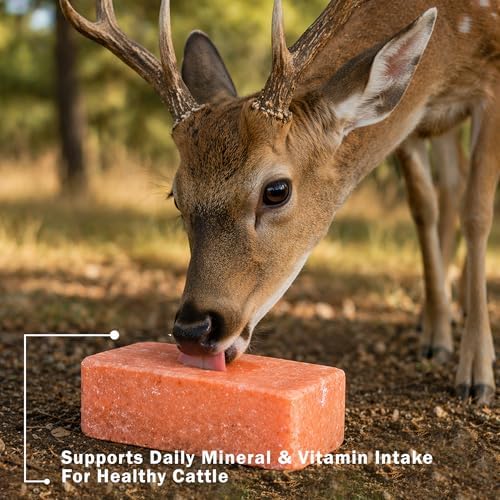 Himalayan Animal Salt Block 5 lb with Vitamins A & E – Fortified Mineral Salt Lick for Horses & Livestock – Compressed Pink Himalayan Block for Stall & Controlled Feeding