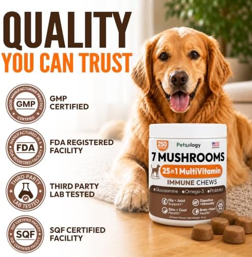 Turkey Tail Mushroom for Dogs - 250 Chews - Lion's Mane, Shiitake & Reishi
