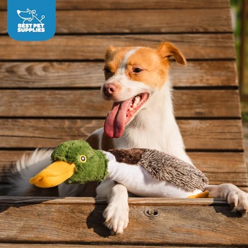 Best Pet Supplies Interactive Squeaky Dog Chew Toy, Ideal Dog Toys for Chewers, Small, Medium & Large Dogs, and Fetch Lovers - Mallard Duck (Brown), Large