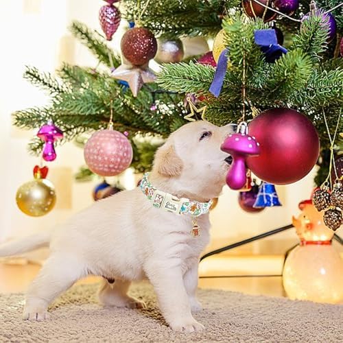 Dog Collars, Christmas Pet Collar Holiday Dog Collar Gingerbread Man Print Pet Collar Durable Collar Cute Dog Collar Boy Girl Dog Collars Adjustable Dog Collar for X-Small Dogs