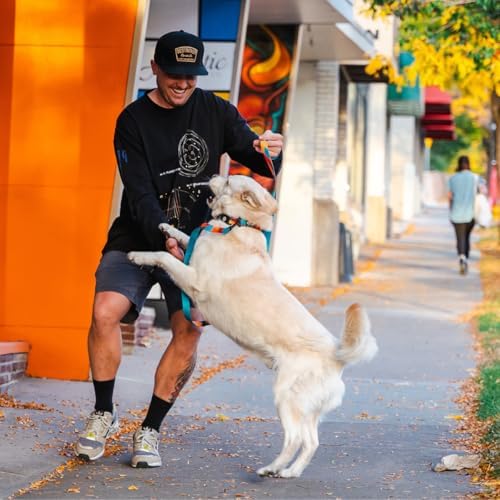 Wolfgang Heavy Duty Dog Leash, Pull-Tested to Over 800 lbs for Walking & Training, ShatterShapes Print, Dual-Handle Large