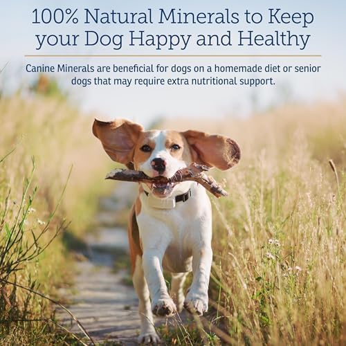 Rx Vitamins Canine Minerals - Essential Minerals for Dogs - 16oz