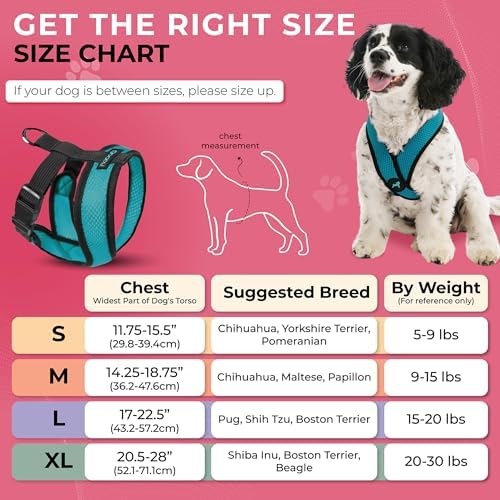 Gooby Comfort X Head-in Dog Harness, Choke-Free, Turquoise, Small