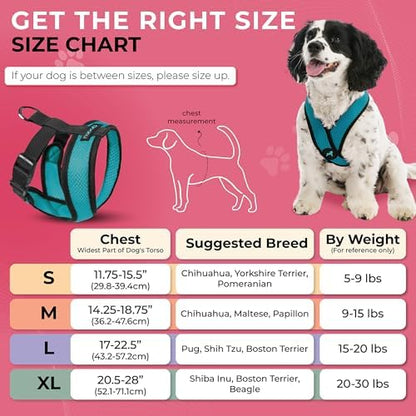 Gooby Comfort X Head-in Dog Harness, Choke-Free, Turquoise, Small