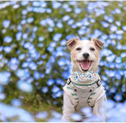 Dog Collar-Flower Print Adjustable Cute Pet Collar Soft Blue Floral Dog Collars with Bow Tie Durable Cotton Metal Buckle Puppy Collar Gift for Medium Dogs