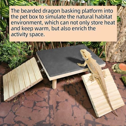 Bearded Dragon Basking Platform with Climbing Ramp,Reptile Basking Rock Slate,Wooden Platform Hide Cave Tank Accessories for Lizard Tortoise Leopard Gecko Snake (XL)