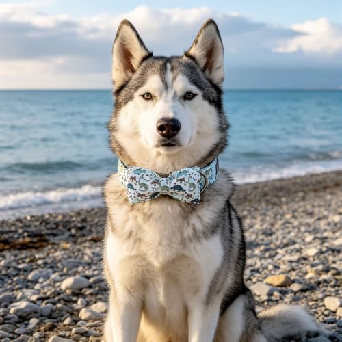 Lionheart glory Dog Collar with Bow Tie, Cute Blue Dinosaur Print Dog Collar, Sturdy Adjustable Summer Pet Collars for Large Dogs Male/Female Puppy